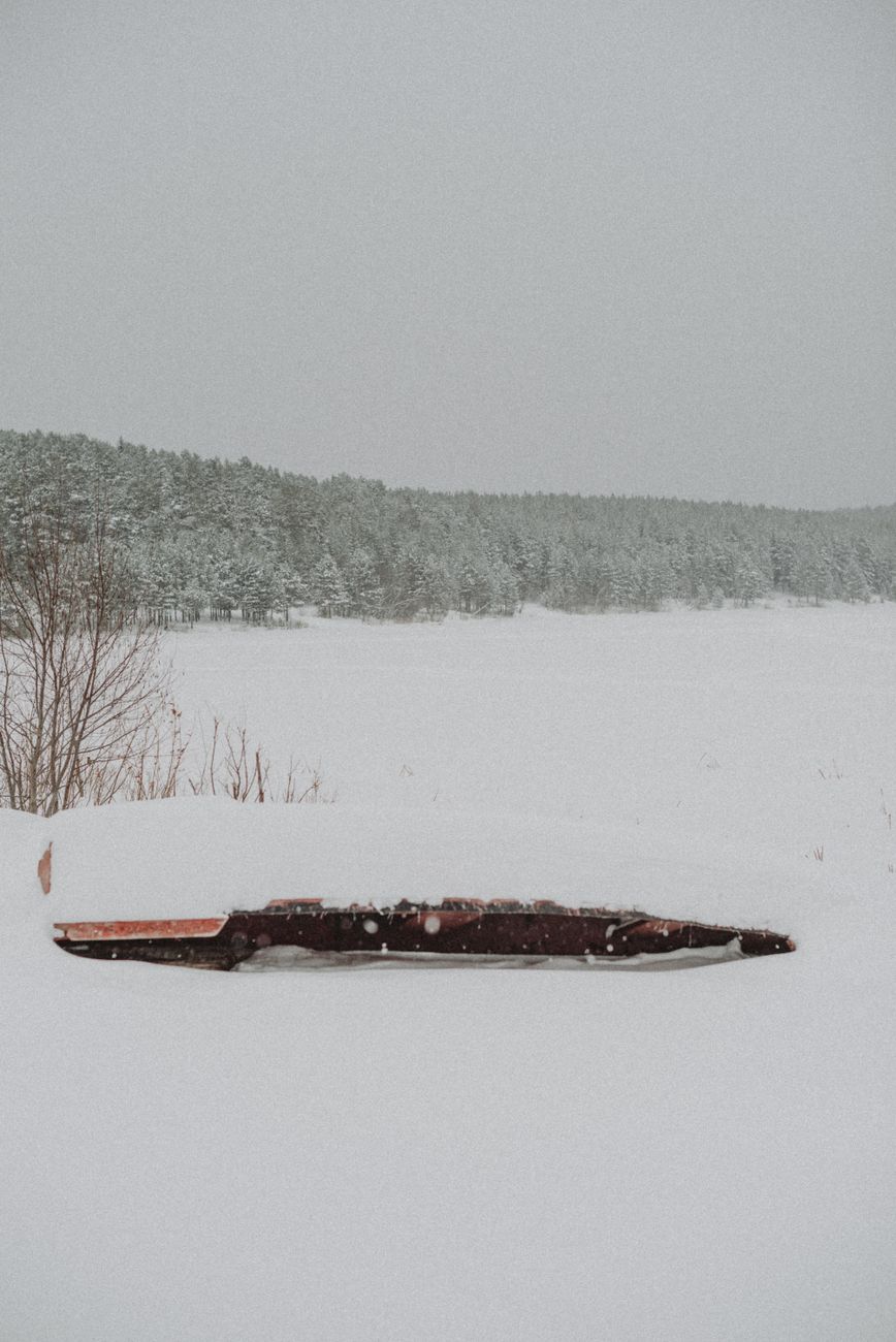 A serene winter landscape featuring a snow-covered log in a quiet forest setting during daylight.